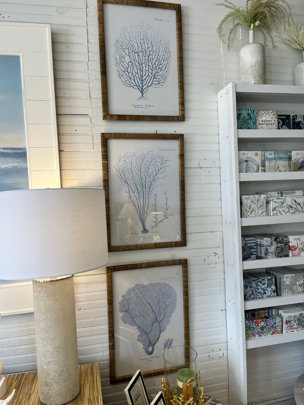 Cane Framed Coral Prints