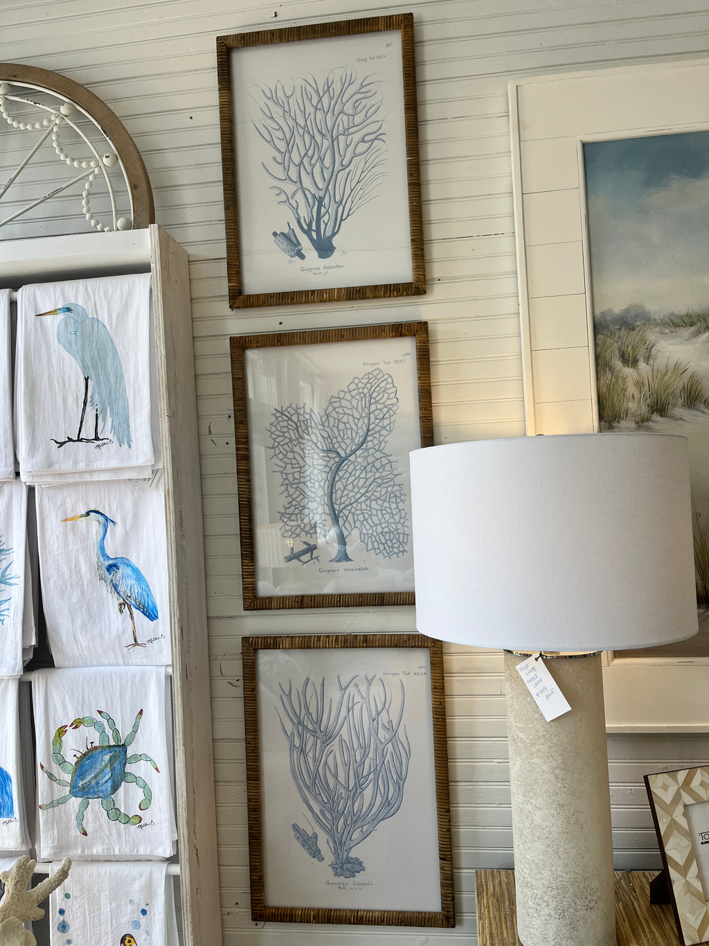 Cane Framed Coral Prints