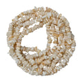 Natural Shell Chip