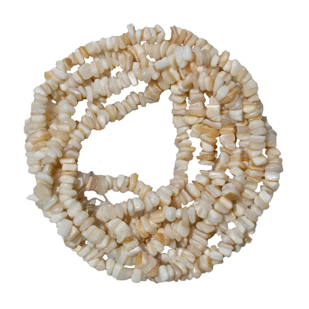 Natural Shell Chip