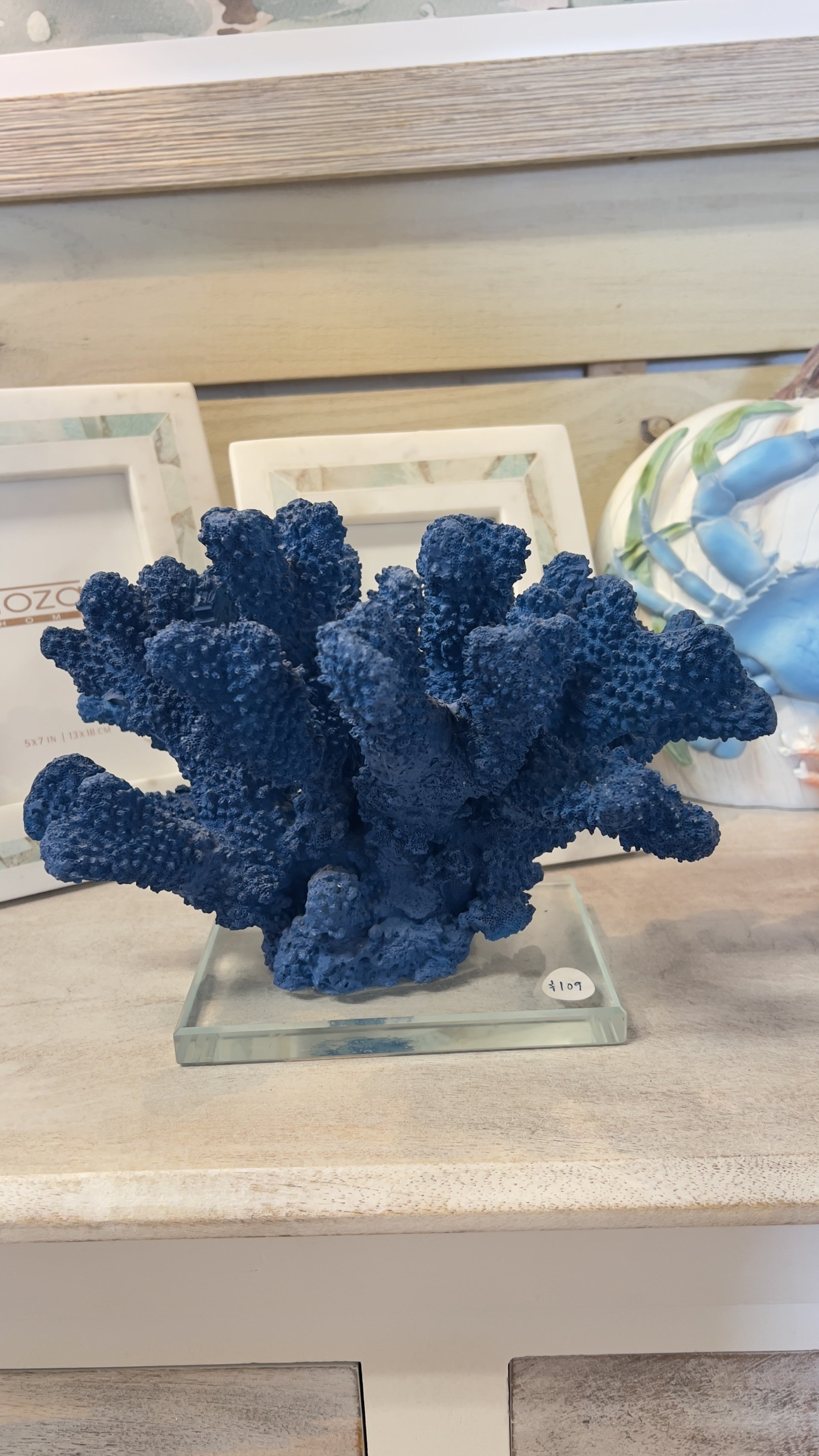 Blue Coral Sculpture